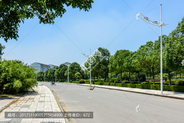 校園道路