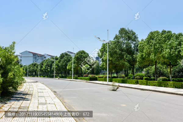 校園道路