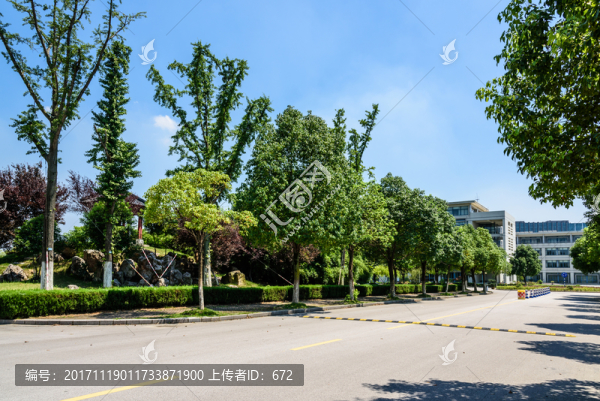 校園道路