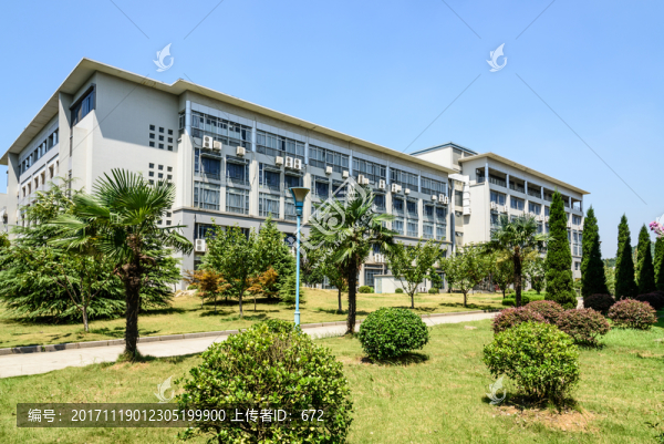 大學(xué)圖書館
