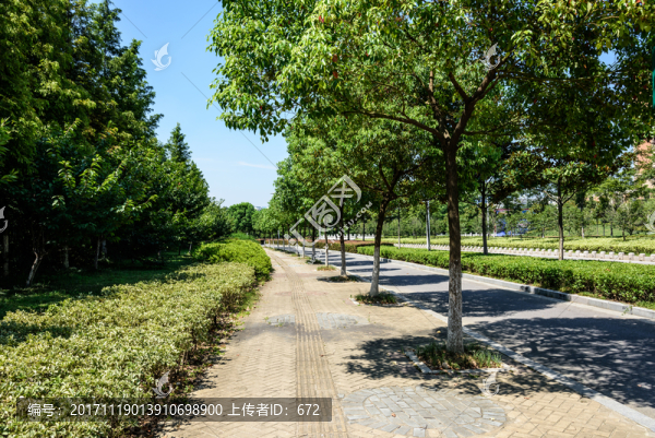 道路景觀