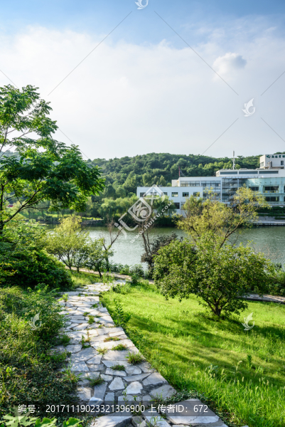 小山園林景觀
