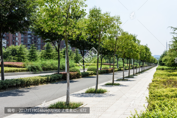 城區(qū)道路