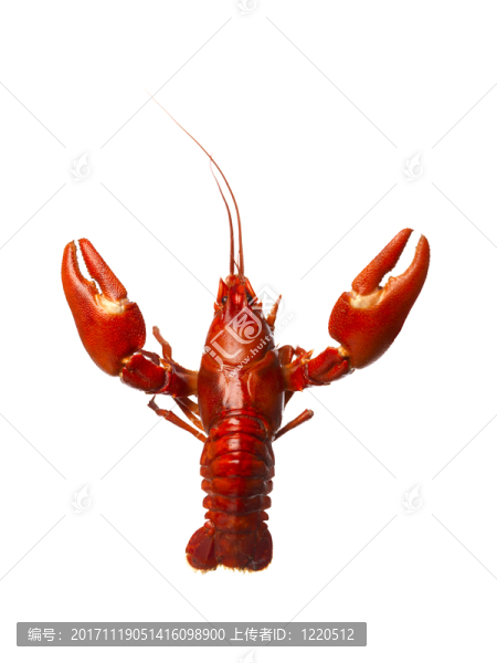 靜物