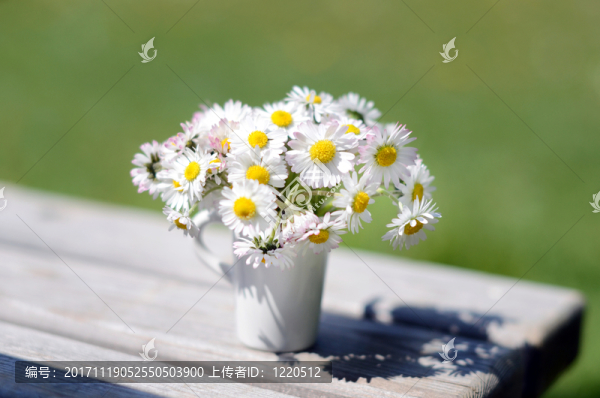 花瓶與雛菊