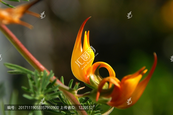 索尼DSC