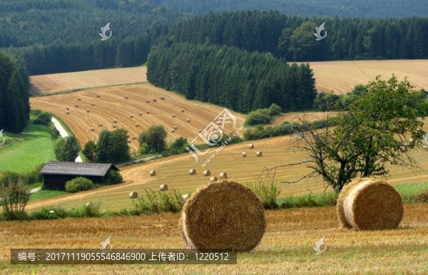 農(nóng)業(yè)和景觀