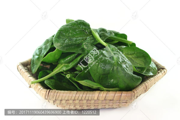 菠菜
