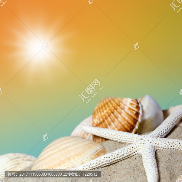 在海灘上的海星