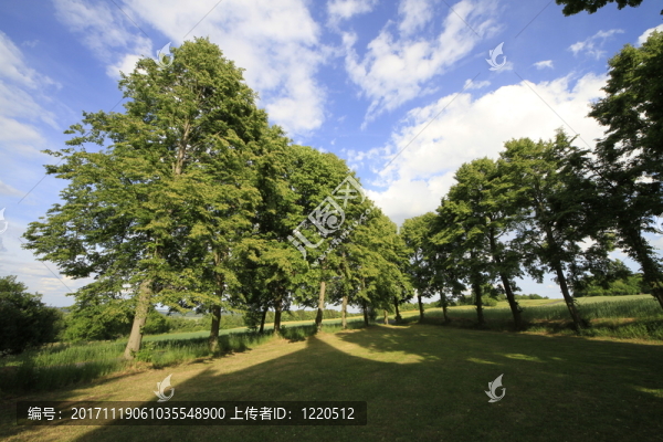 上午的美麗風(fēng)景