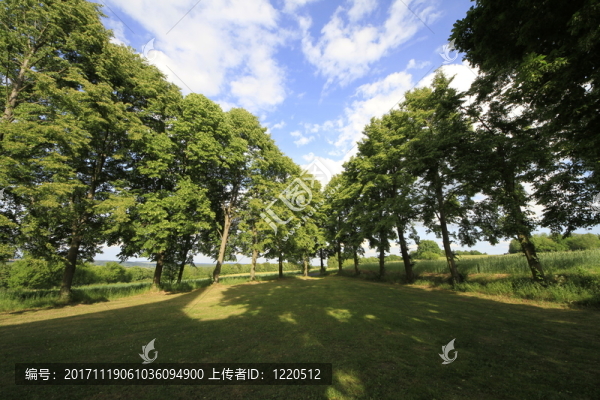 上午的美麗風(fēng)景