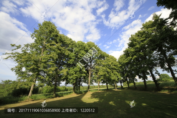 上午的美麗風景