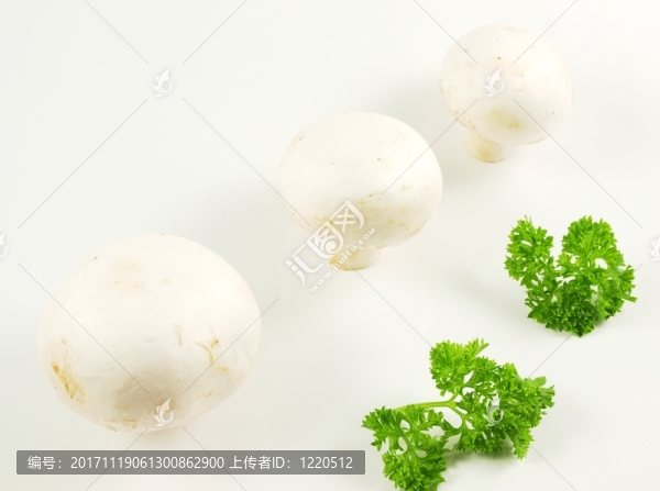 隔離的