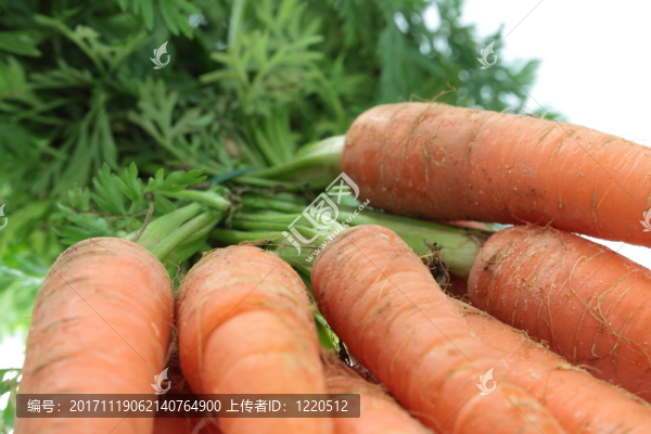 食物