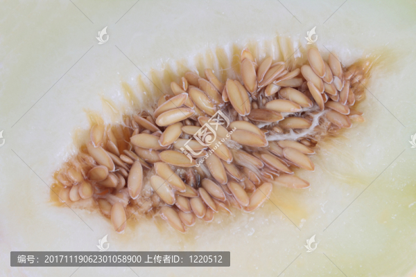 緊密的