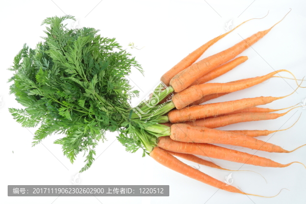 食物