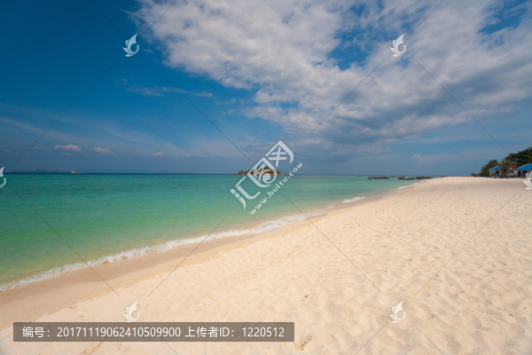 美麗的