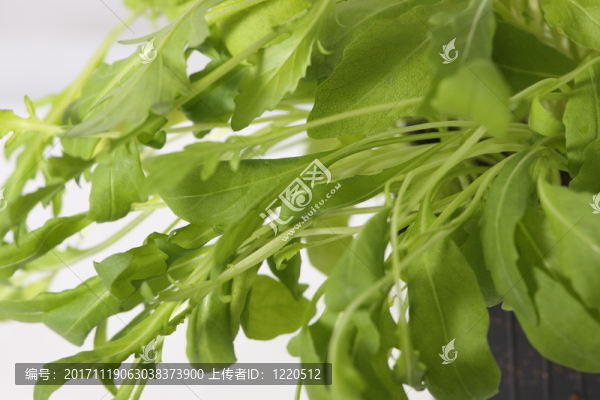 食物