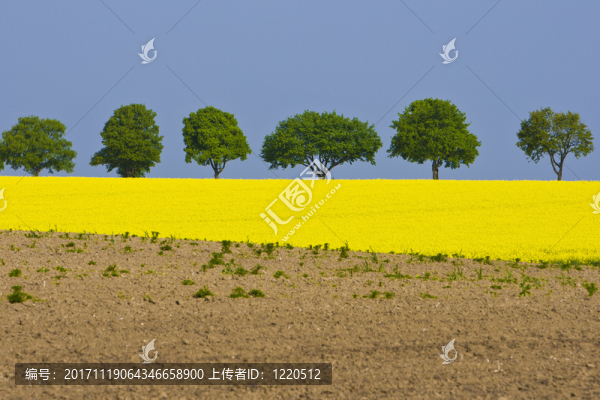 航空醫(yī)學(xué)抽空控制指揮官