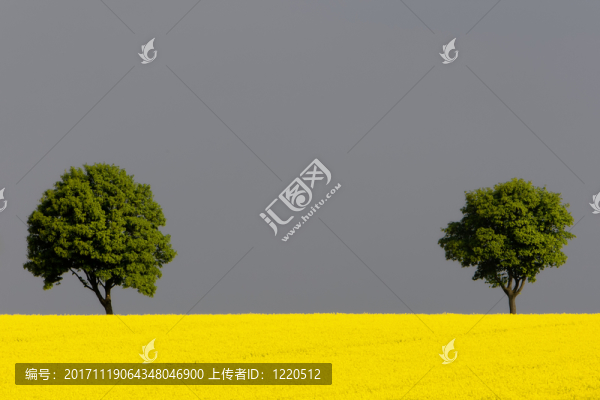 航空醫(yī)學(xué)抽空控制指揮官