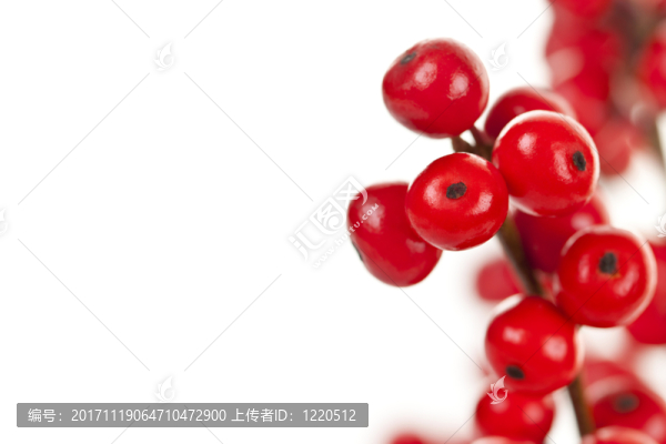 隔離的