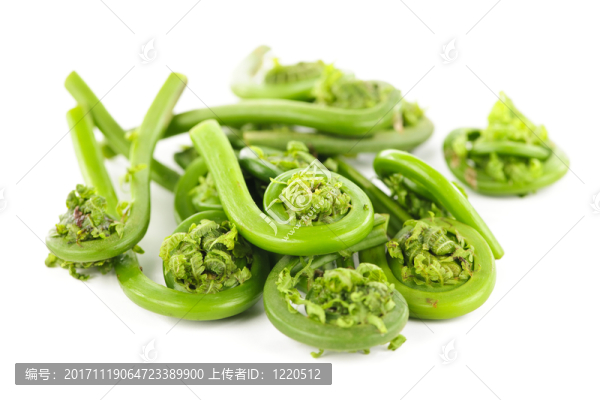 食物