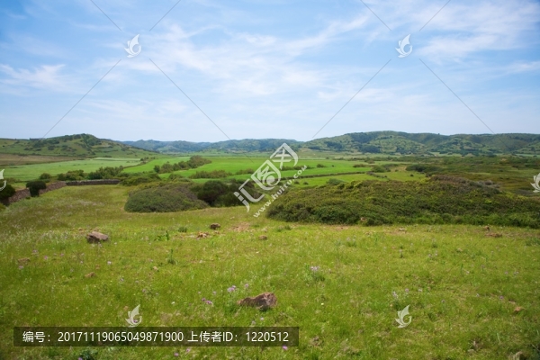 田