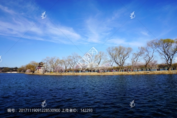 春光無限