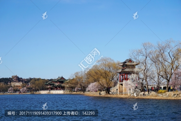 春光無(wú)限