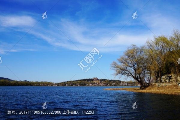 春光無限