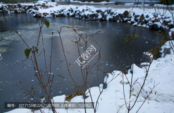 大連勞動(dòng)公園荷花池雪景1