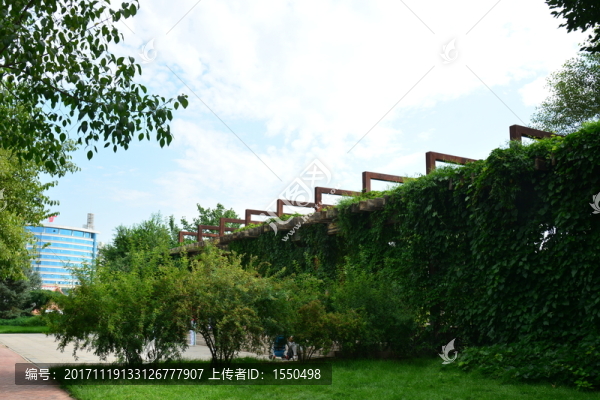 公園