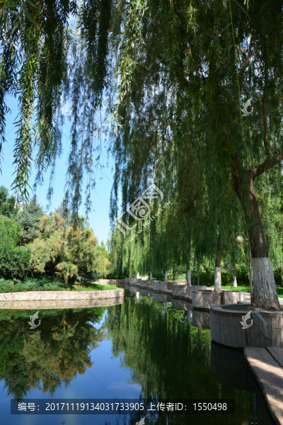 親水林蔭