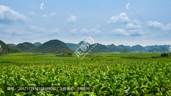 羅平風(fēng)光