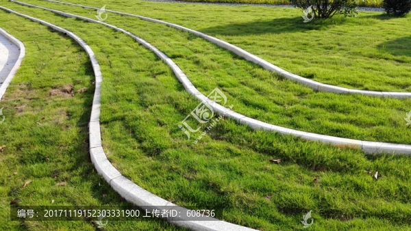 草