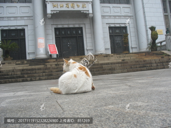 湖北圖書館