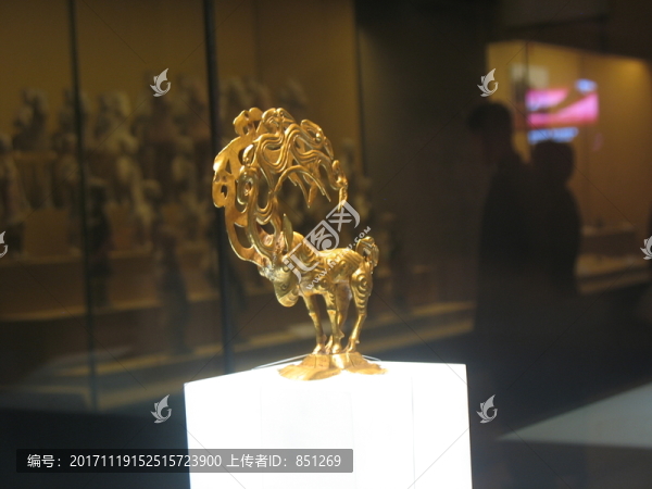 金怪獸