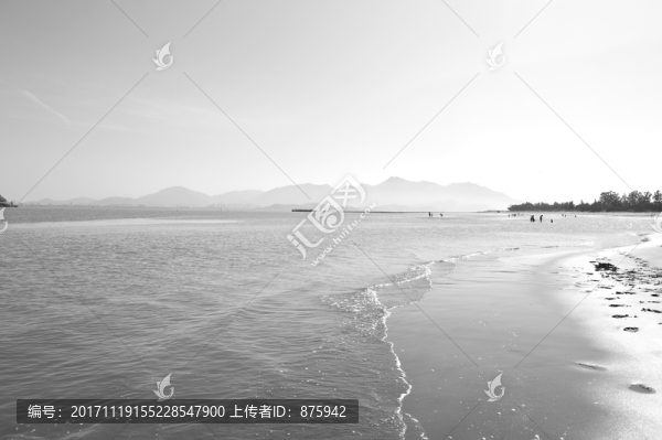 海洋