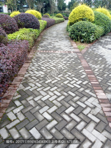 公園小路