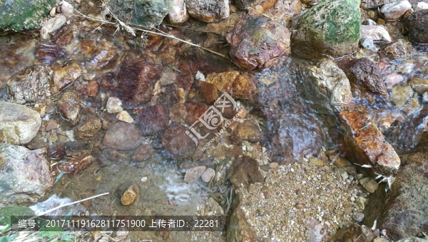 清澈見底的溪水
