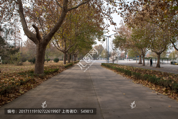 道路