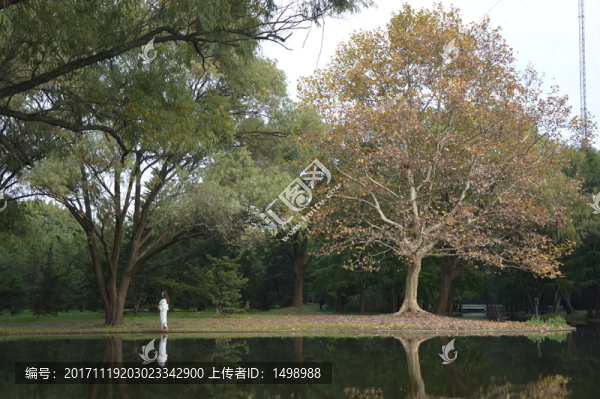 森林公園一角