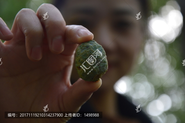 森林撿果子的女孩