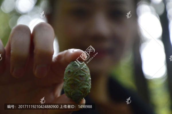森林撿果子的女孩