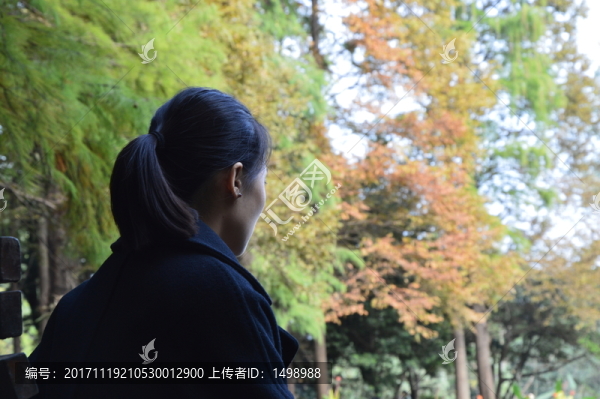 冬日森林的午后