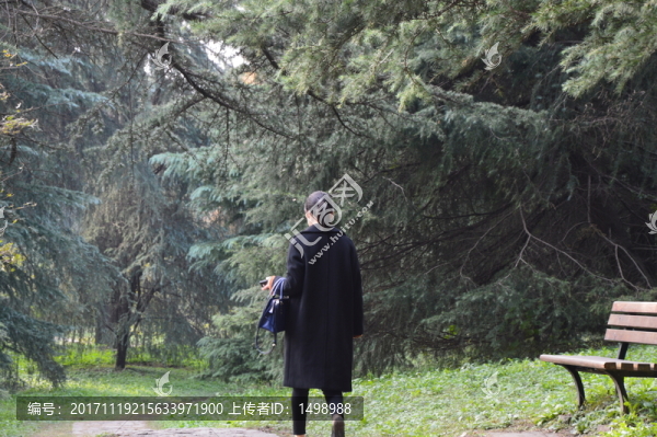 冬日午后的森林公園