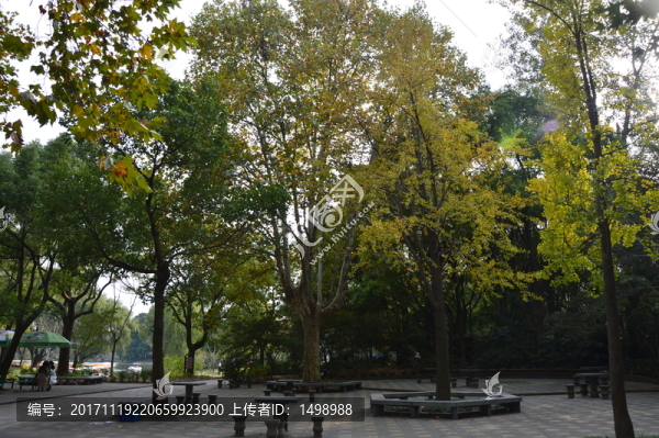 森林公園一角
