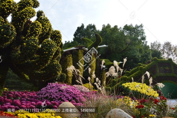菊花展