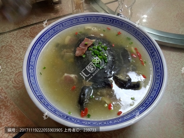 甲魚湯