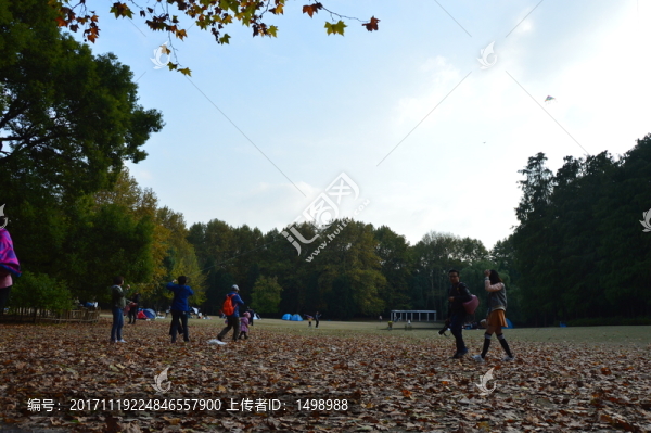 森林公園